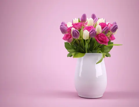 Fienesse